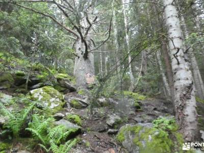 País de los Pirineos- Andorra; viajes y cruceros actividades de fin de semana en madrid viaje de fin